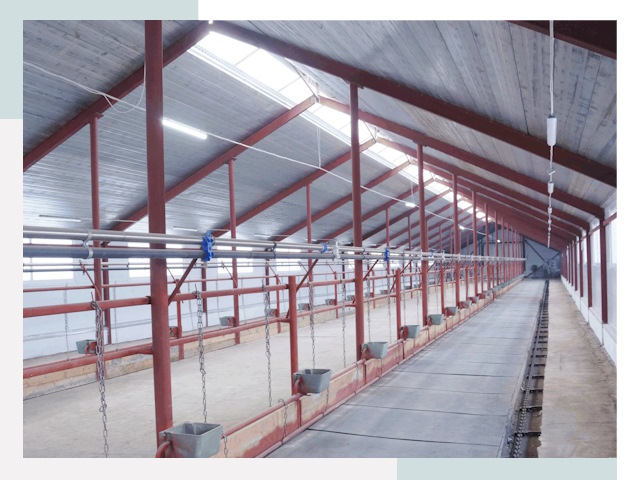 Строительство коровников в Лобне от 620 руб.