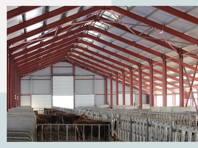 Строительство коровников в Лобне